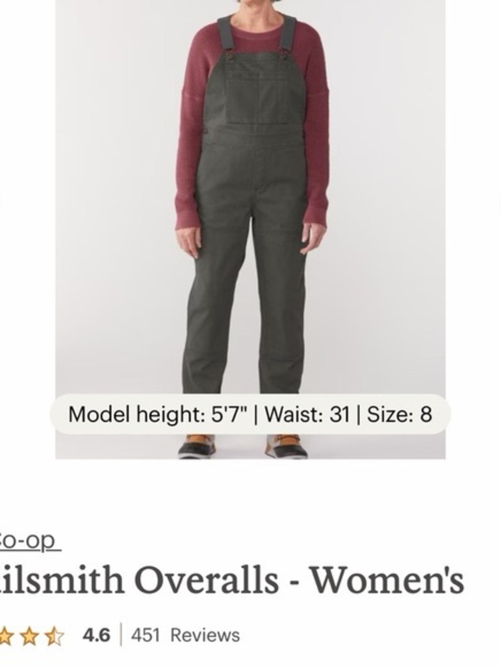 REI Co-op Trailsmith Gray Cargo Overalls - Picture 5 of 7